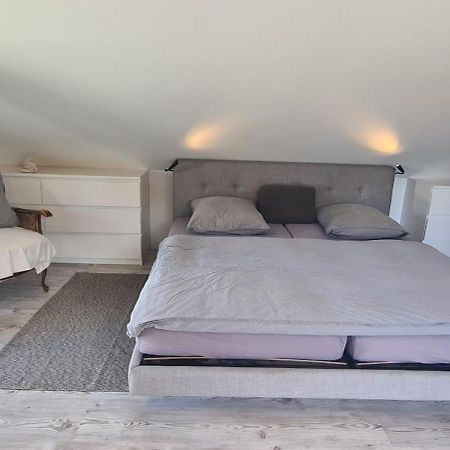 Piti'S Gaestehaus, Kehl Neben Strasbourg Kültér fotó